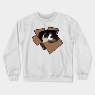 Box Cat Crewneck Sweatshirt